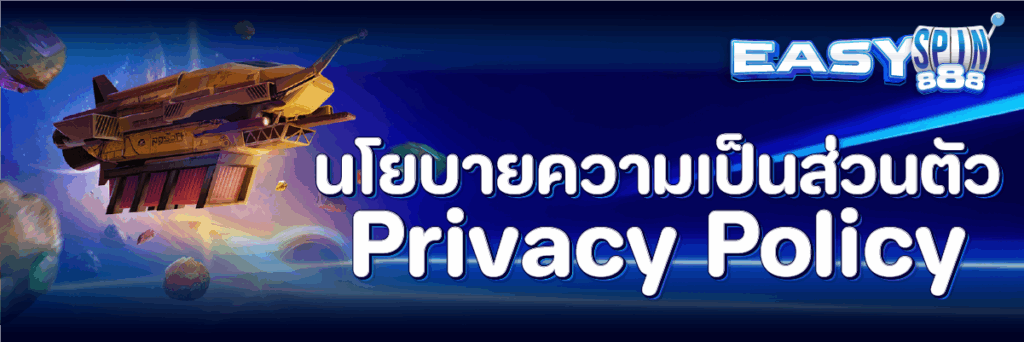 นโยบายความเป็นส่วนตัว